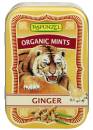 Organic Mints in der Dose - Ginger (50 g)